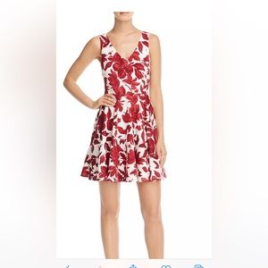 NWT Aqua Floral Red and White Skater Dress